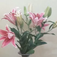 nam, nữ