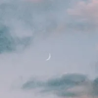 ???