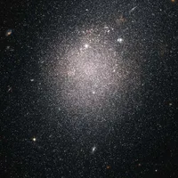 All(tùy trường hợp)