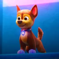Chase (pup)