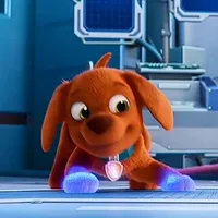 Zuma (pup)