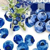 (⁠◕⁠ᴗ⁠◕⁠✿⁠)