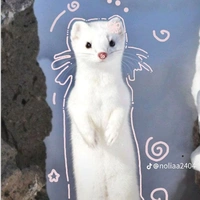 ミ★MིIིNིEི★彡