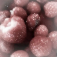 Nguyễn Thị Thúy Hằng