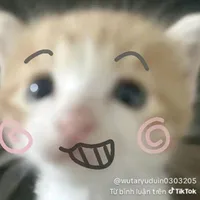 - Nhân vật phụ -