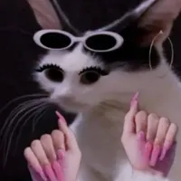 tgia cte phô mai que nhất tgioi