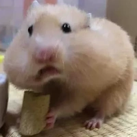 hệ thống ( chuột) 