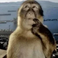 Học ngu vạch c* ra bú