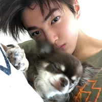 Keonho (🐶)
