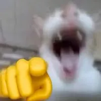 all trừ ai thì trừ cn k thì cook