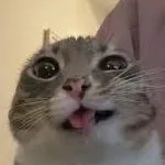 t/g cặp banh lol shed