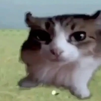 tg trầm tính