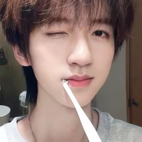 Hạ Tuấn Lâm