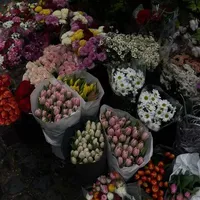 Dòng đời đưa đẩy làm diễn viên