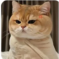 người bì ẳn