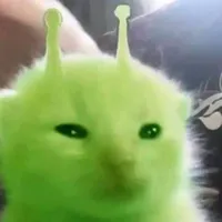 𝙱𝙻𝙾𝙾𝙳