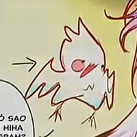 Dưa hấu