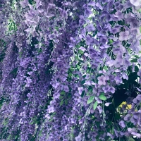 T/g