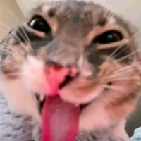 Người dẫn chương trình
