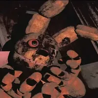 spring bonnie