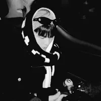 Phạm Đình Thái Ngân - Phamdinhthaingan