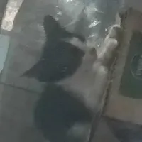 all[trừ ai tùy]