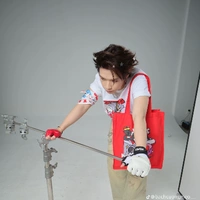 Bạch Hồng Cường