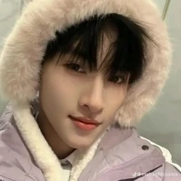 Huỳnh Hoàng Hùng-Gemini