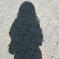 Cô giáo chủ nhiệm