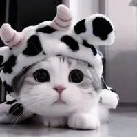 hệ thống 37[ena]