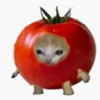 t0mat0 (bạn thân + cục cưng của t/g)