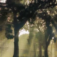 All ( trừ ai thì trừ )