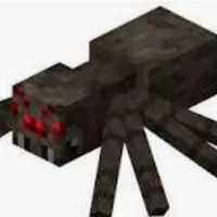 spider(nhện)