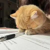 ✏Rỳ Rý Ry﹏