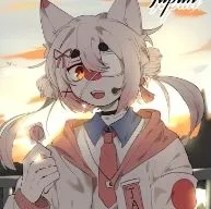 Nekomi Japan