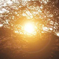 cân mọi nhân vật