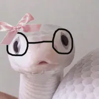 𝐑𝐚̆́𝐧 𝐜𝐮𝐭𝐞