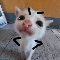 toi