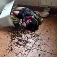 Tenko Chabasira(lesbian)