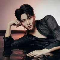 hùng huỳnh - gemini