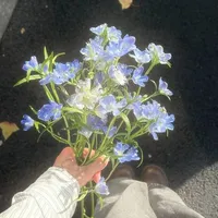 tạch môn toán rồi