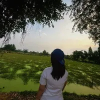 Zyy