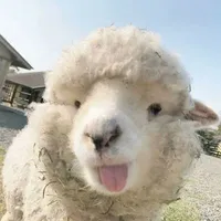 Hgducduyy