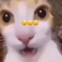 Hạt dẻ đâyy