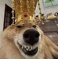 Hoàng Thượng đẹp zai (t/g)