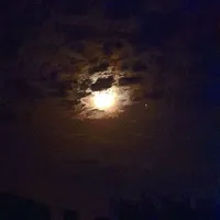 chị họ(chị mẫn)