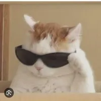 t/g