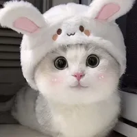 Bông (Đức Duy hình dạng mèo)