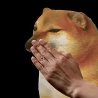 Shiba t/g🐶🎉🐶🥀