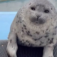 Luồi bồn của lôn lì tri🥰